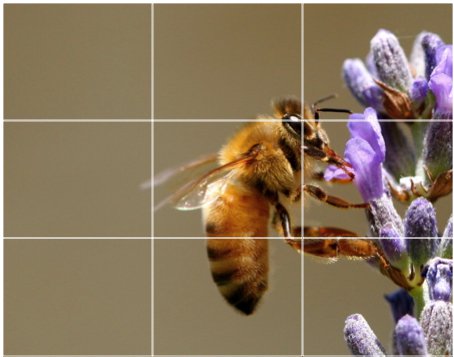 how to take good photos with phone: rule of thirds