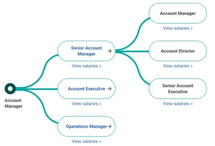 Account Manager career path