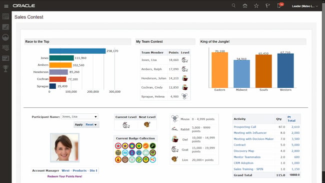 sales performance management software: oracle