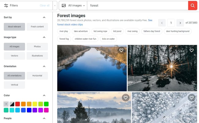 shutterstock search results pages of forest images