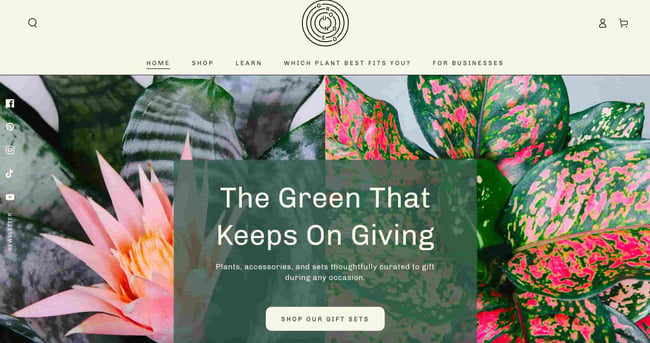SIMPLE WEBSITE EXAMPLES: GROUNDED PLANTS SHOWS A PICTURE OF A PLANT WITH TEXT OVERLAY 