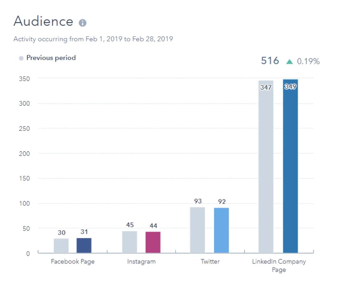 audience social media analytics report