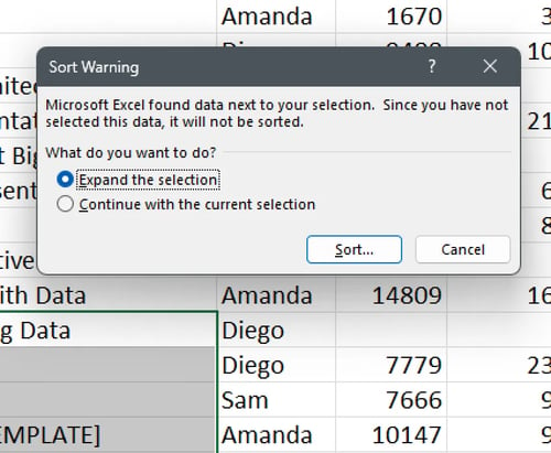 Sort Warning from Microsoft Excel highlighting the presence of data besides the selection
