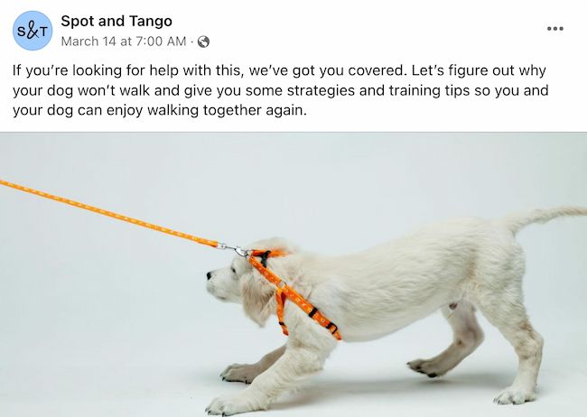 Facebook post ideas: Spot & Tango