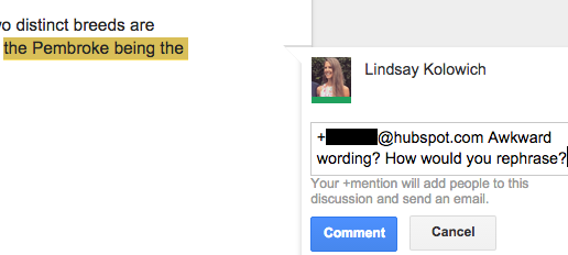Highlighted comment in the margins of a Google Doc