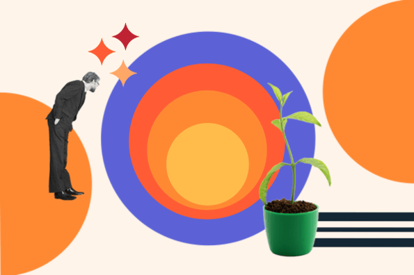 گرافیک TAM SAM SOM با دایره ها، گیاهی برای رشد و یک تاجر