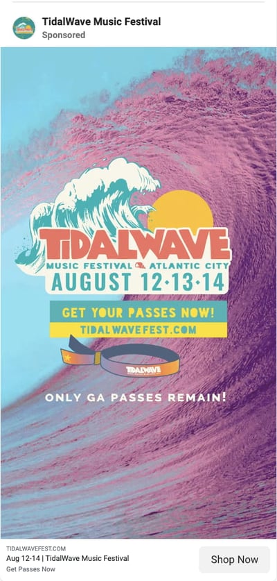 Tidal Wave Music Festival Facebook event ad example