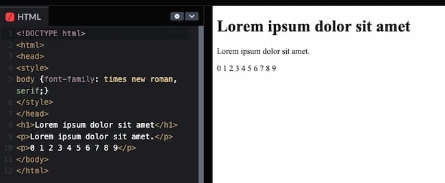 HTML and CSS fonts code example: Times New Roman