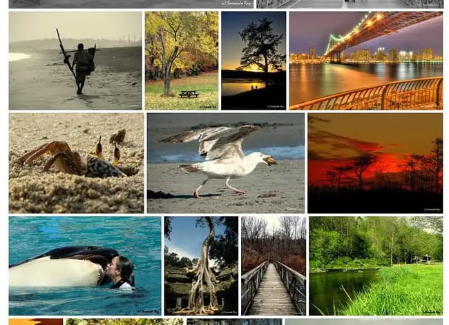 Random justified gallery layout of Instagram photos created with Photonic Gallery & Lightbox plugin