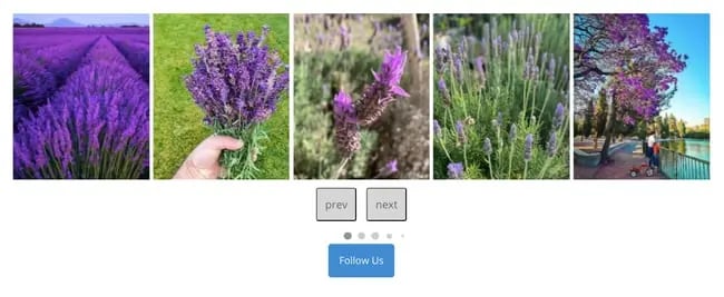 Instagram carousel demo for WordPress website created with Enjoy Social Feed Plugin 