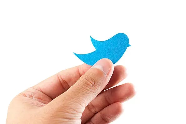 hand holding twitter logo