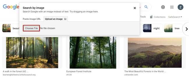 uploaded image in google for reverse image search
