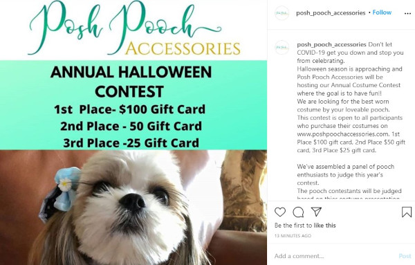 user-generated content contest by posh pooch accessories: 