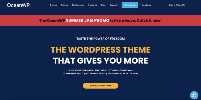 One of the best theme options for those building website on a budget.