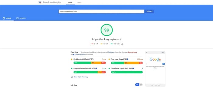 screenshot of the website performance assessment Google PageSpeed Insights