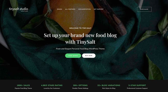 wordpress food blog themes, TinySalt