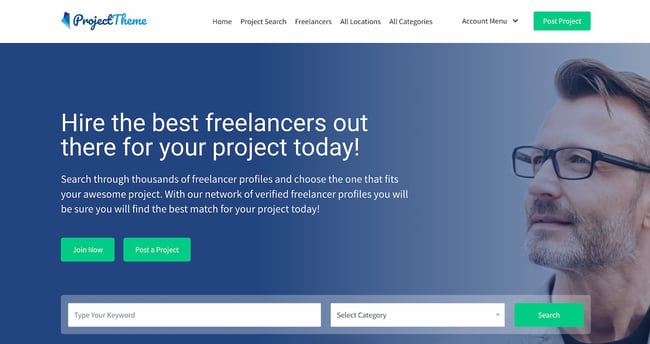 demo for the wordpress freelancer theme from sitemile