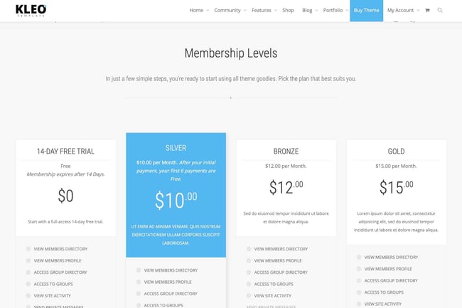 WordPress membership theme: KLEO