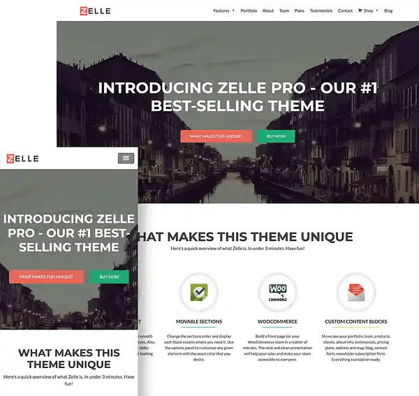 zelle-pro-wordpress-theme-full-screen