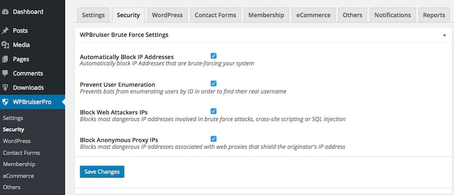 brute force settings for WPBruiser plugin review no captcha anti-spam plugin