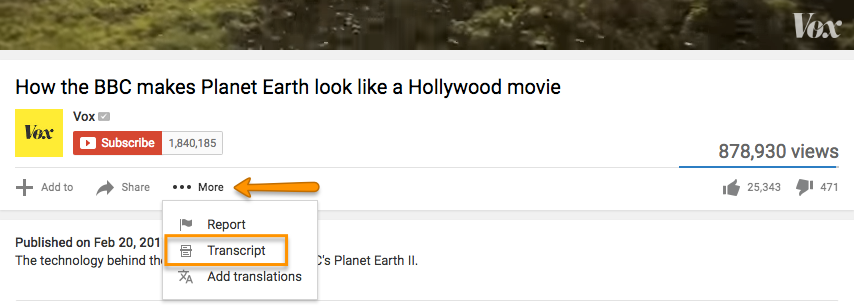 YouTube's more tag to find the video transcript.