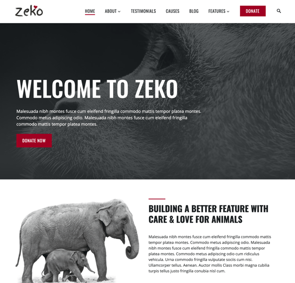zeko nonprofit themeisle wordpress theme