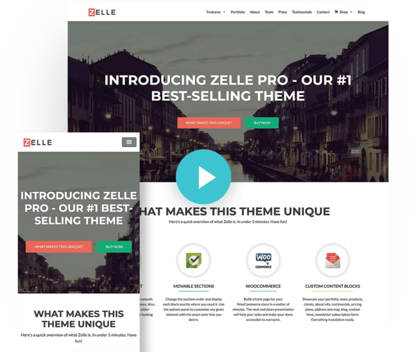 zelle pro minimalist wordpress themeisle theme