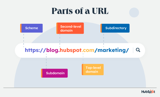 basic parts of a URL