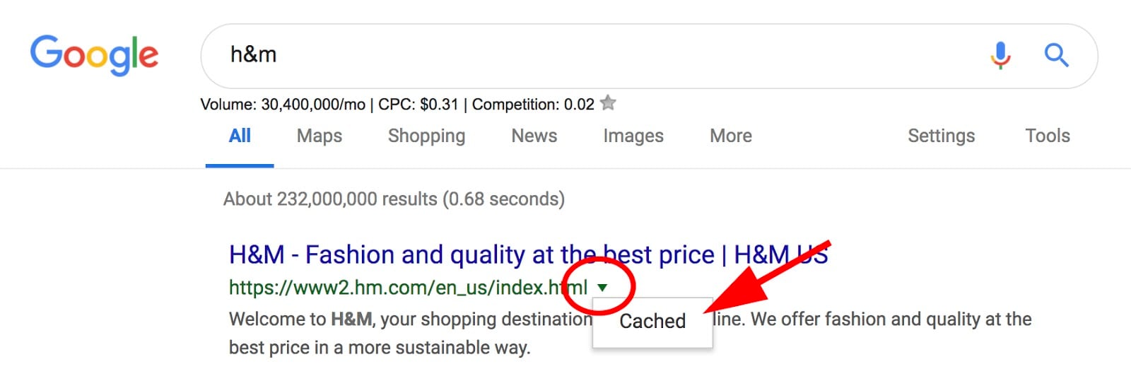Google Cache: How to View Cached Pages
