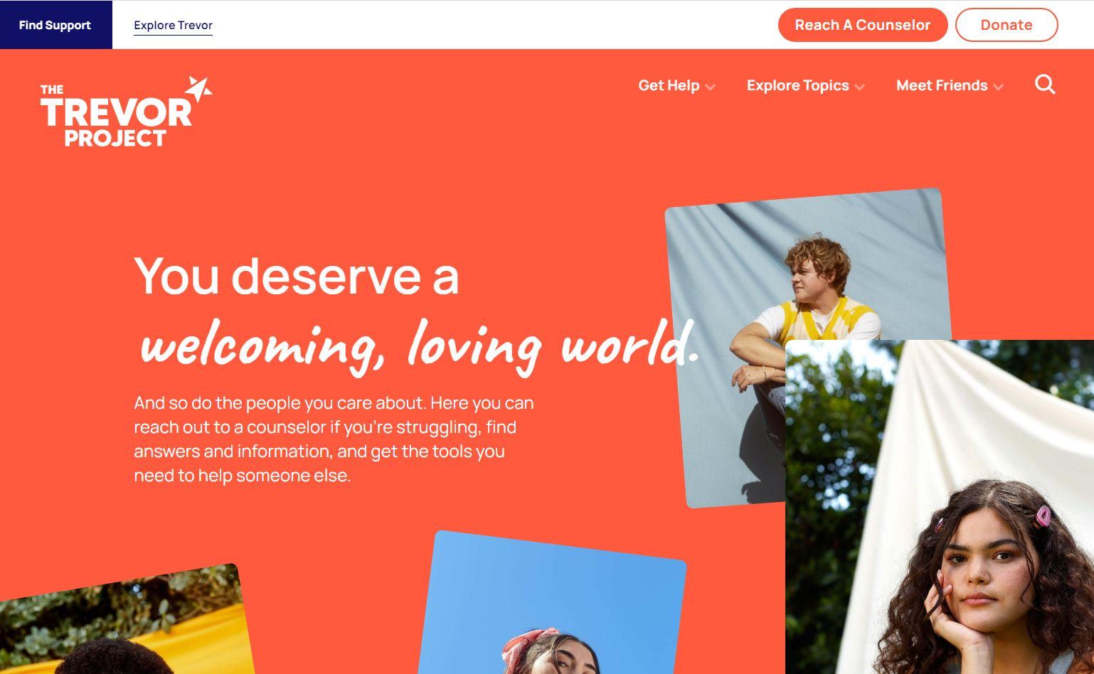 charity website design examples, Trevor Project