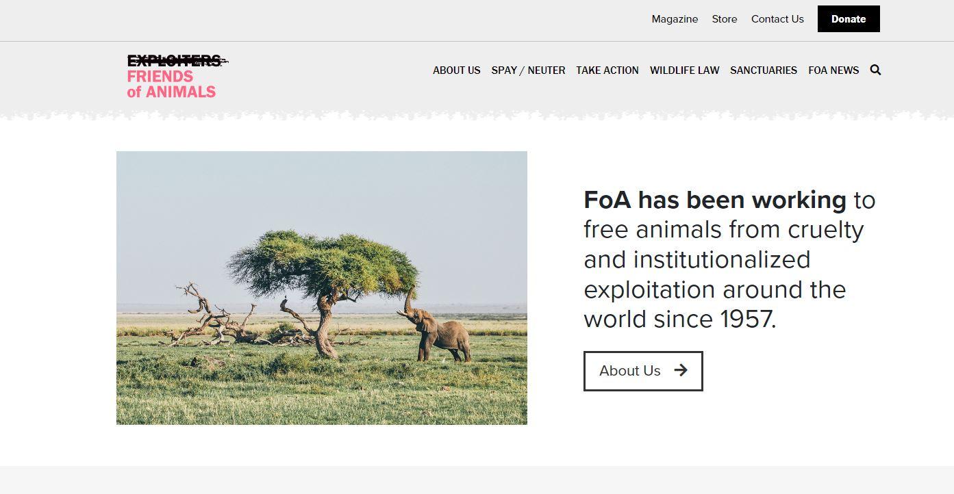 charity website design examples, Friends of Animals