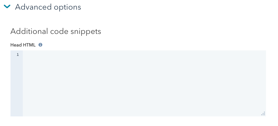 Screenshot of the "Additional code snippets" section under "Advanced Options."