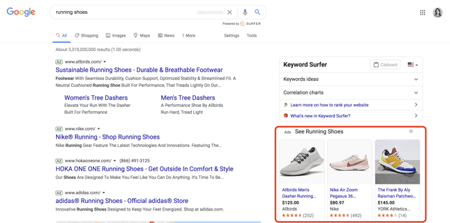 Types of Google Ads Campaigns: Shopping Ads