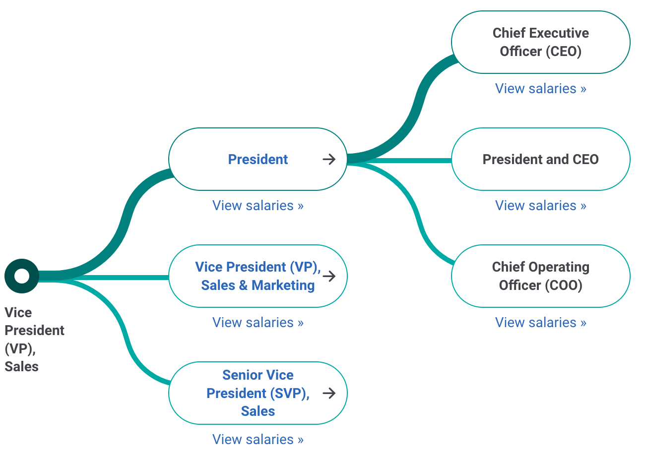 Vice President of Sales Career Path