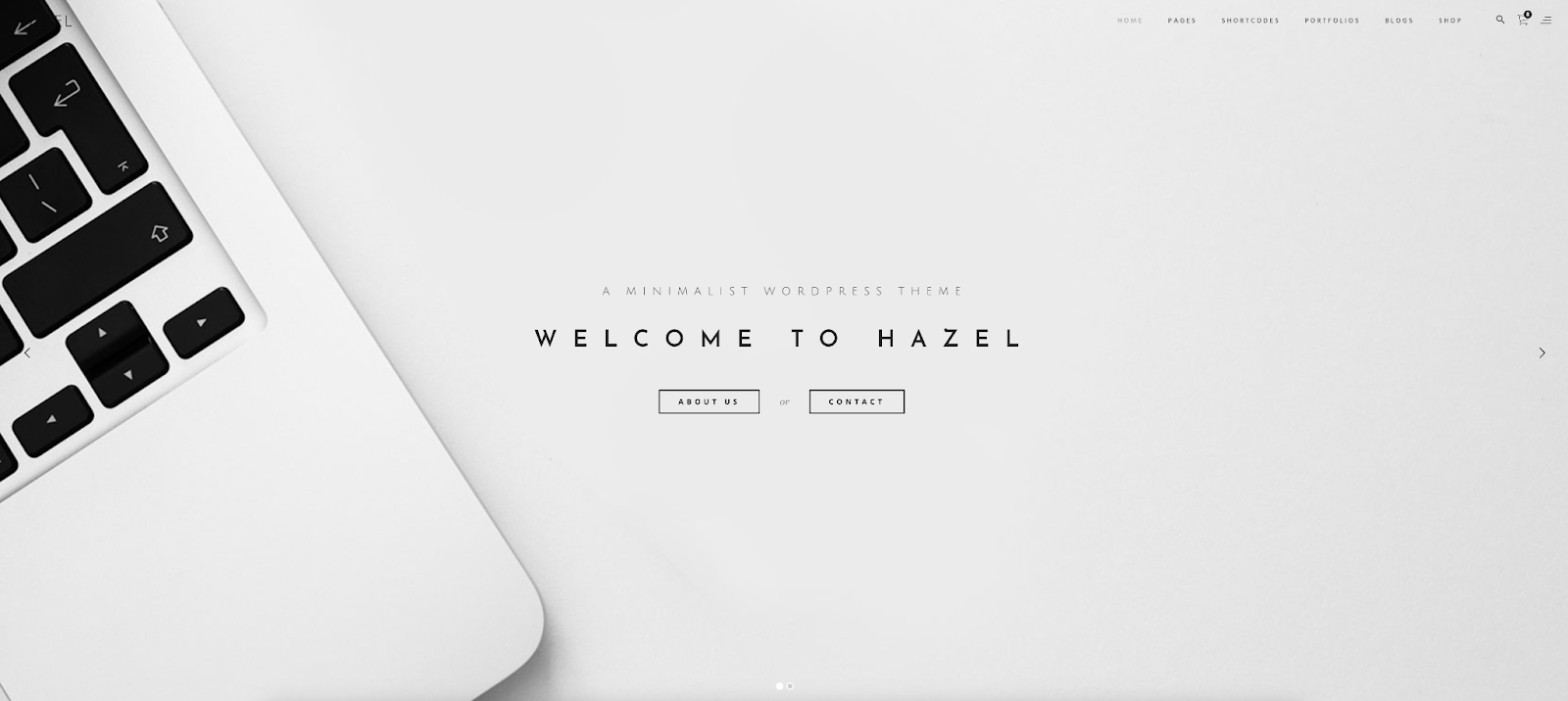 Use Hazel for your next blog and shop and get your website on WordPress quickly