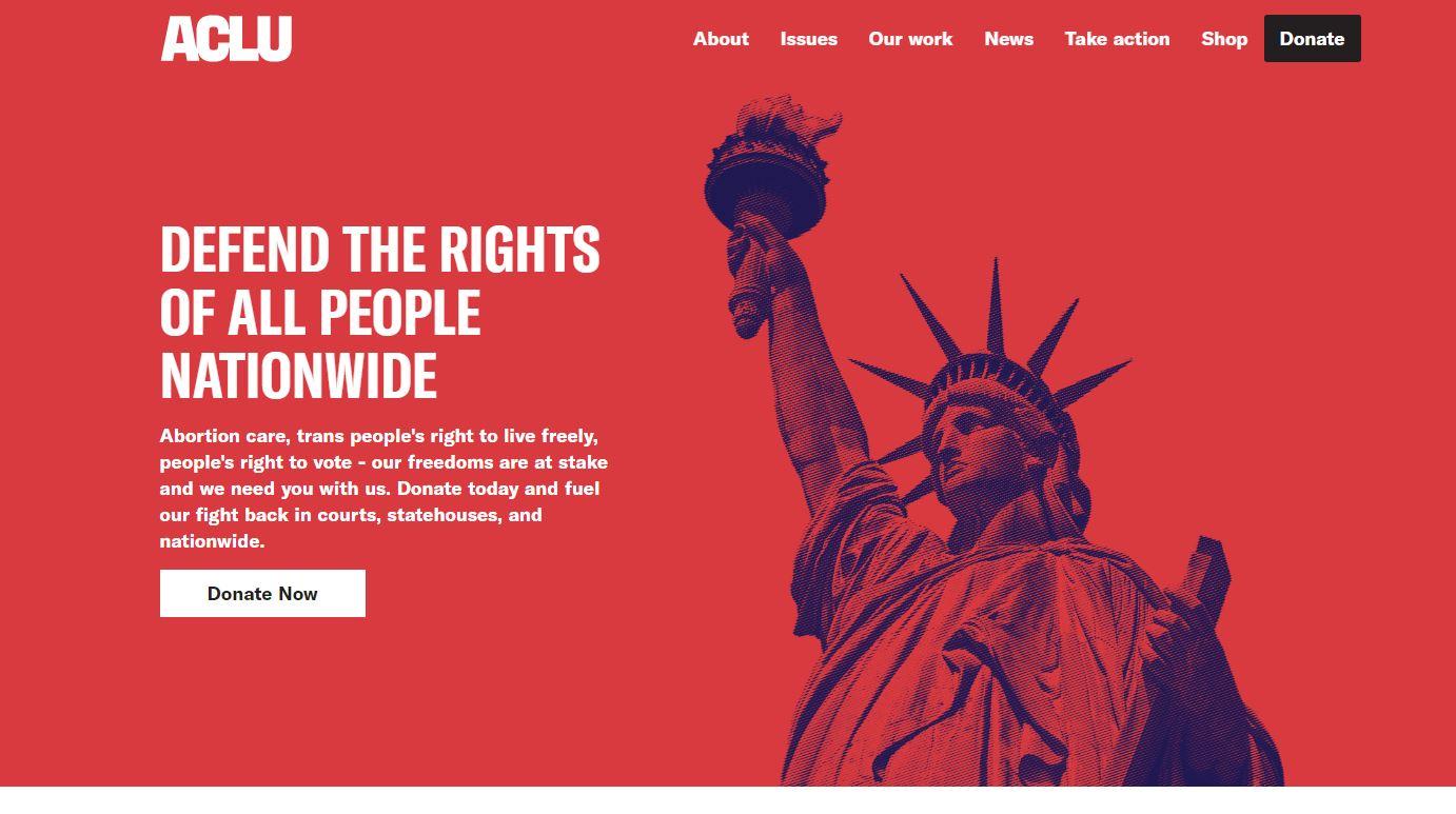 charity website design examples, ACLU