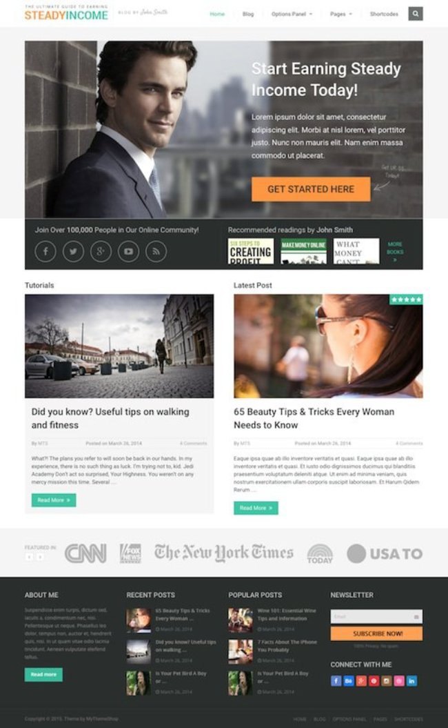 Small business WordPress themes, SteadyIncome