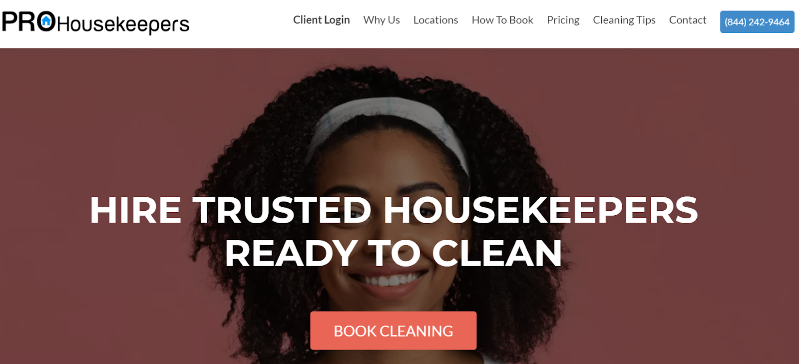 cleaning company websites, Pro Housekeepers