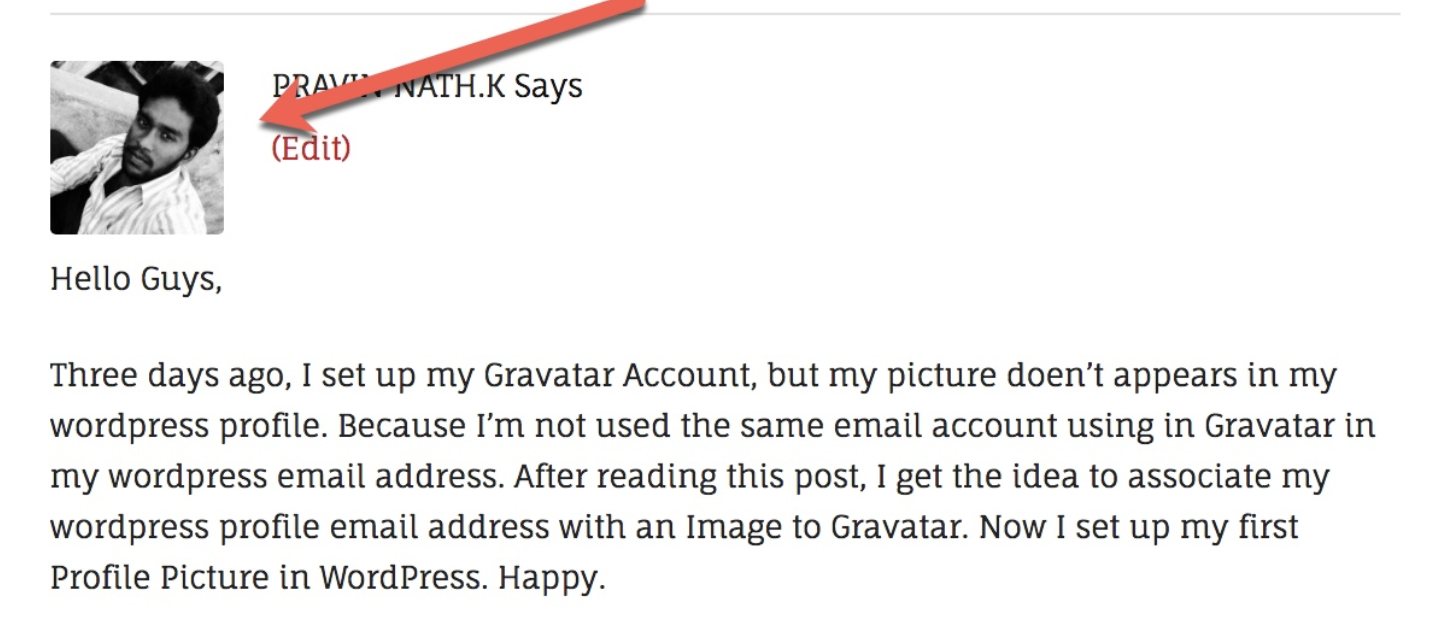 example of Gravatar on WordPress Website