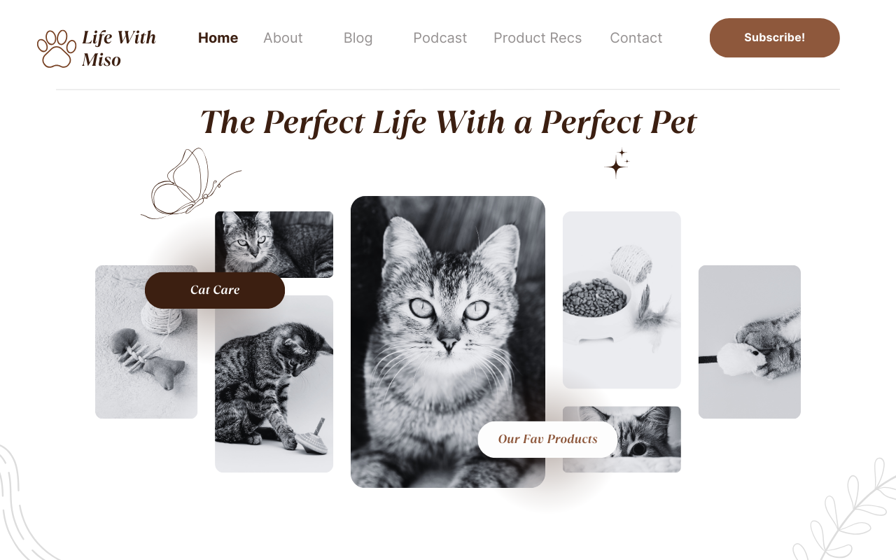 header design for a cat care blog