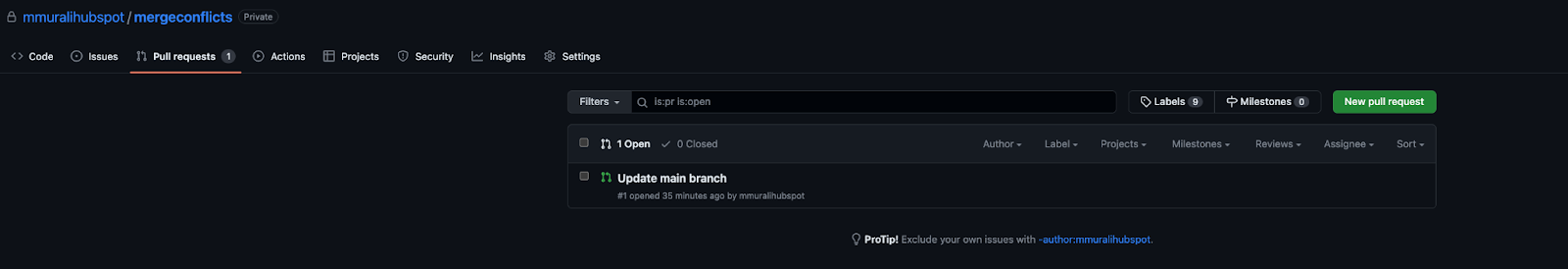 image of github pull requests screen