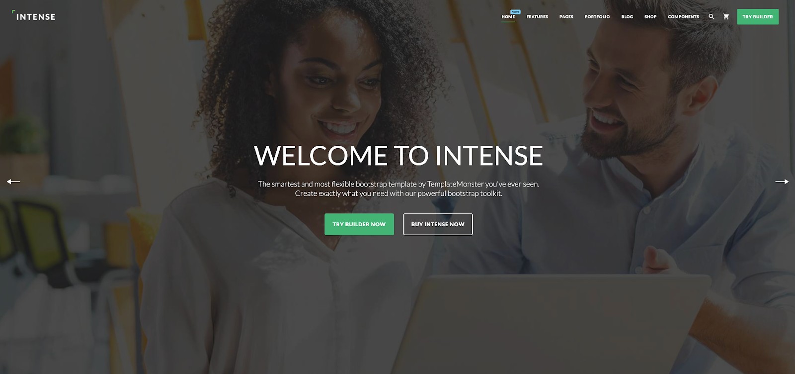 Multipurpose Intense offers an expansive set of templates for your responsive Website needs