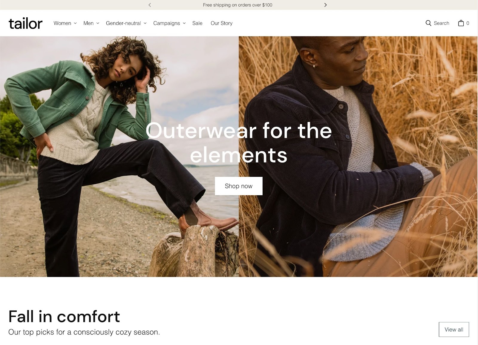 Shopify website themes, tailor