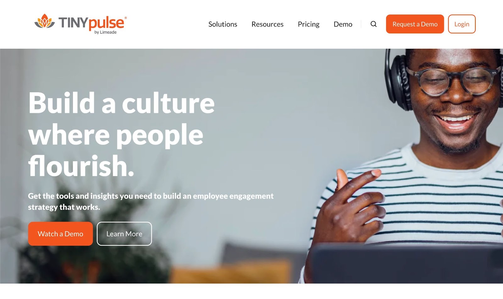 website color themes, tinypulse
