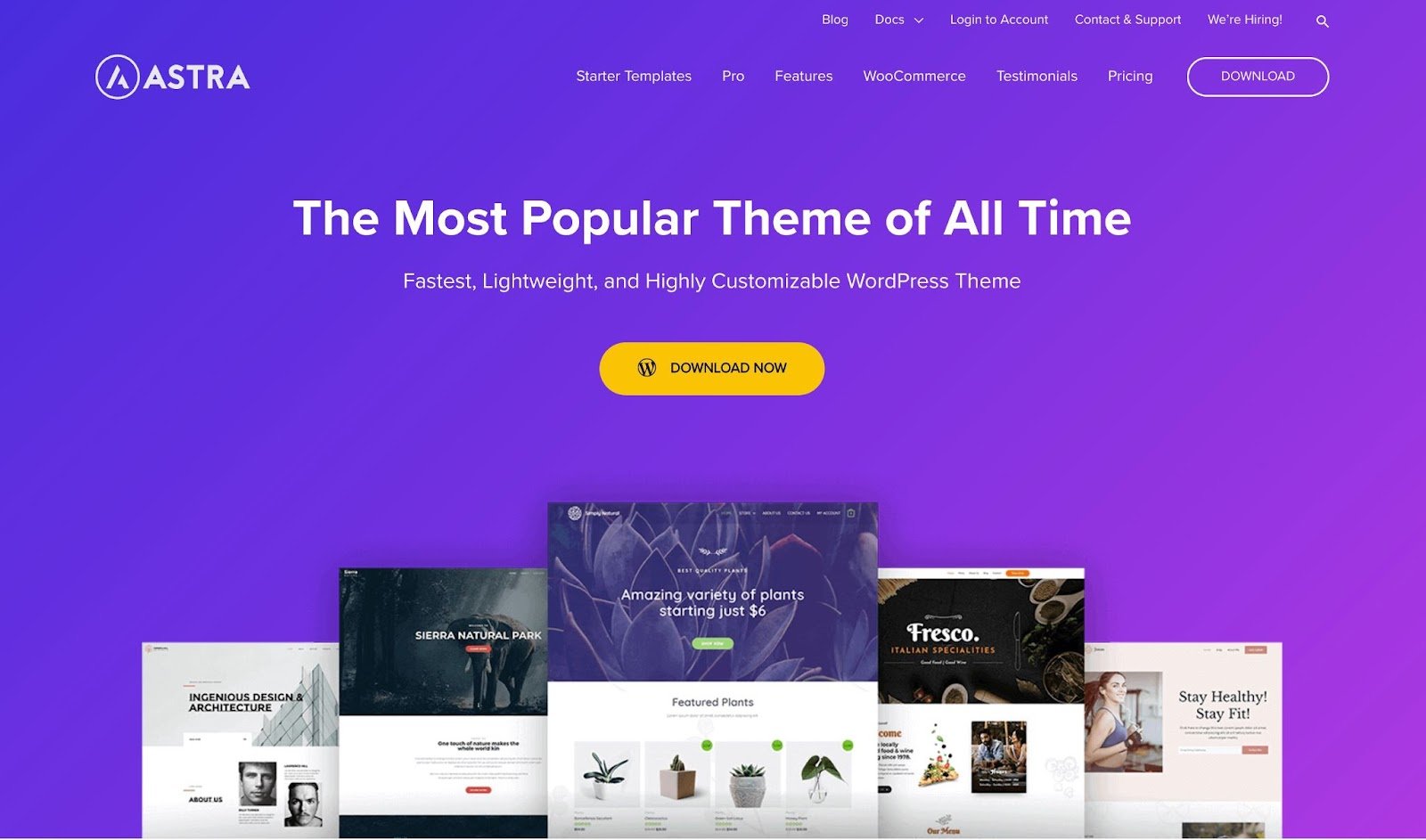 website color themes, astra