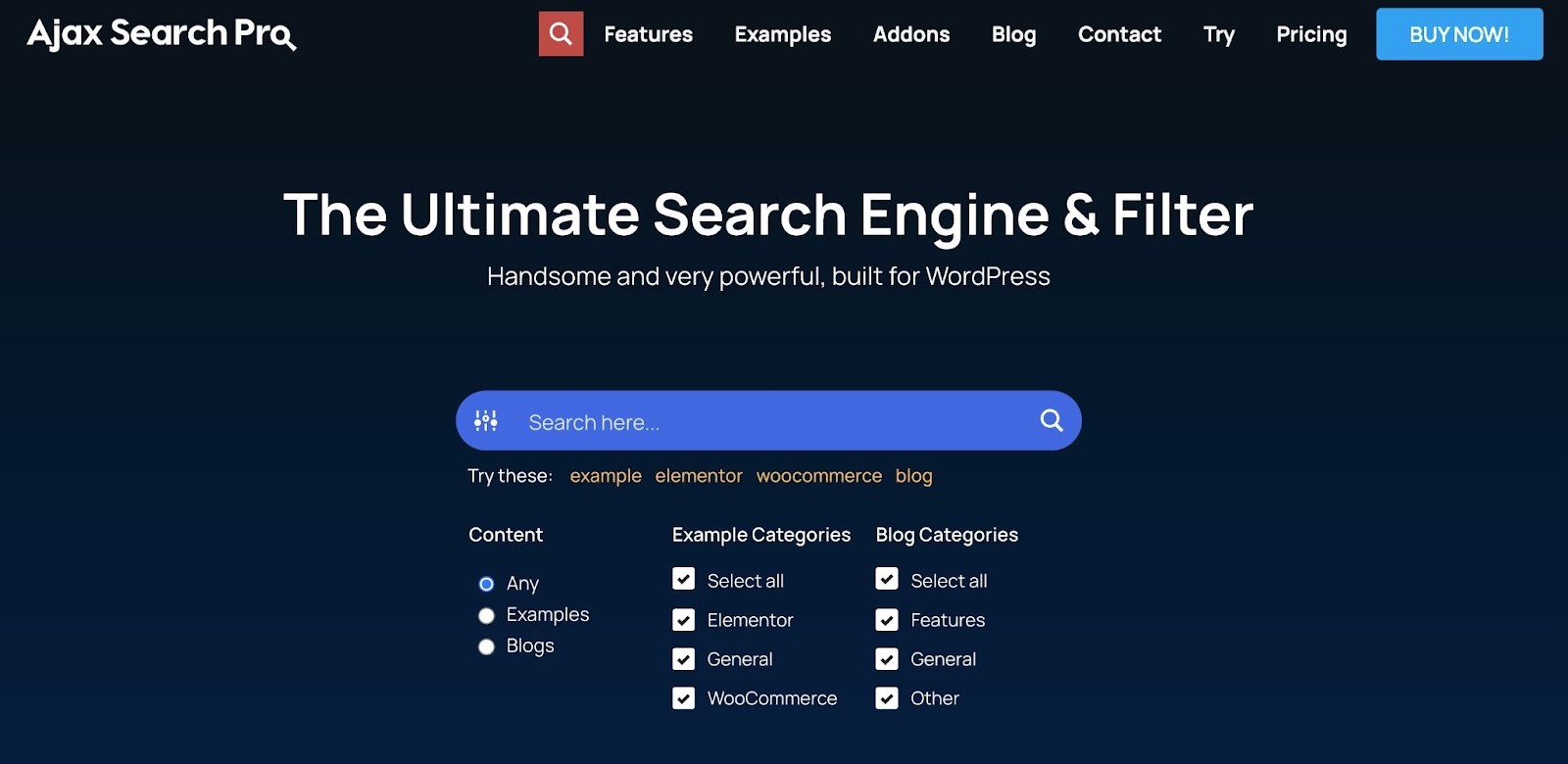 WordPress filter plugin, example from Ajax Search Pro