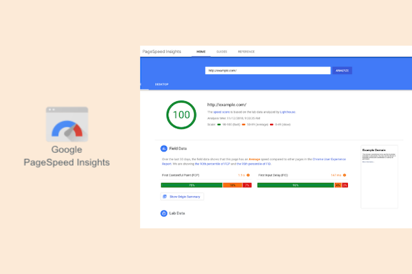 How to Use Google PageSpeed Insights: A Starter Guide