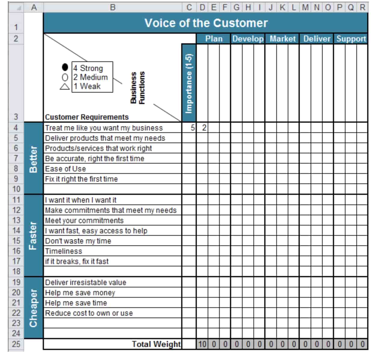 Voice of the customer template: QI Macros 