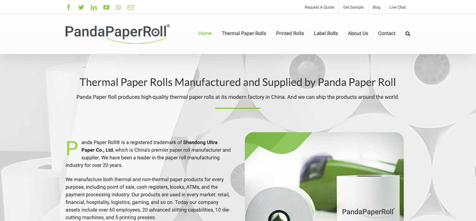 panda paper roll avaada theme wordpress website
