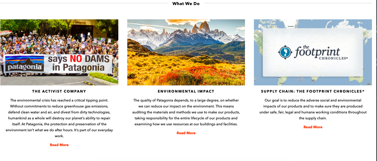 La pagina sulla sostenibilità della Patagonia.